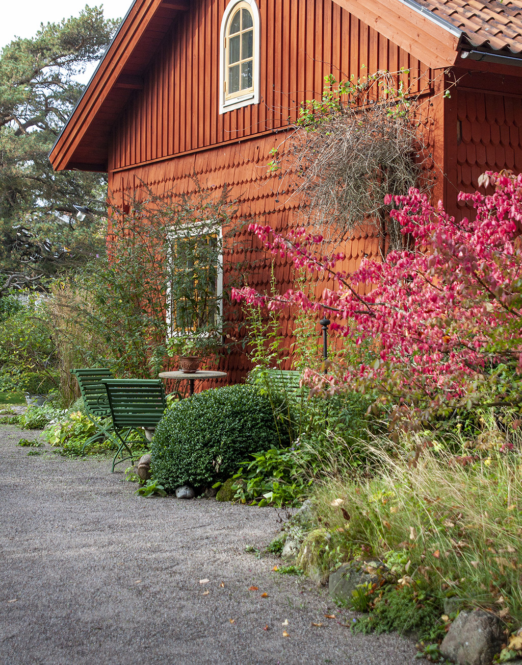 Tradgardsliv 2104_3