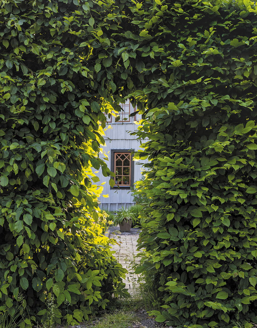 Tradgardsliv 2201_karrboda2