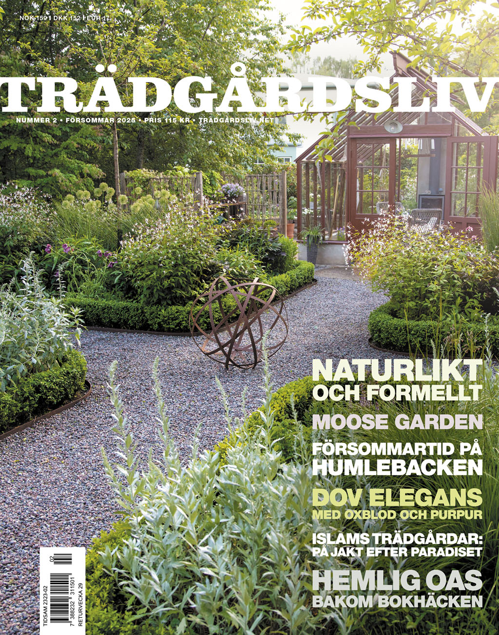tradgardsliv-2501-1