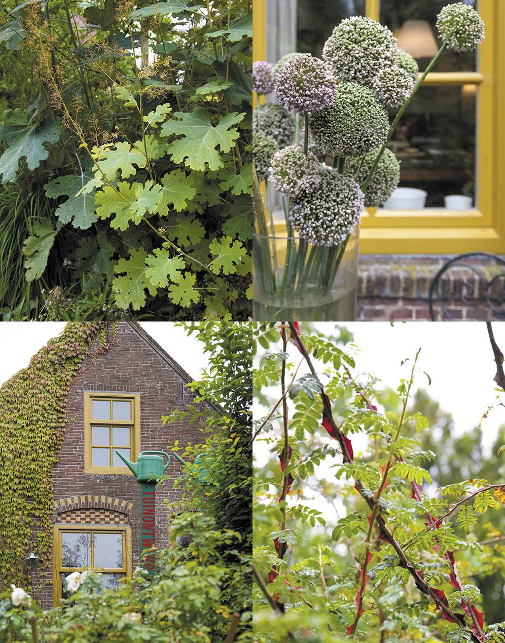 tradgardsliv-kloppenborg-8